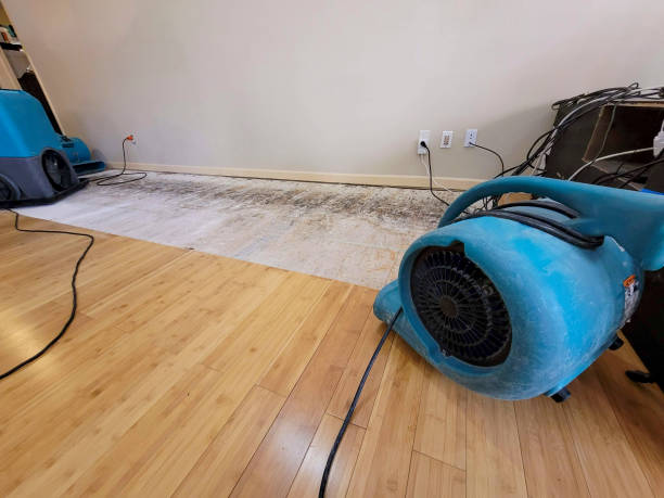 Professional Ceiling Water Damage Repair technician working in Adrian, MO