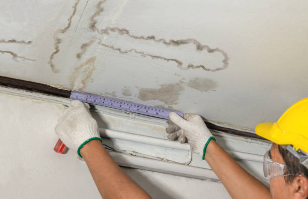 Affordable Ceiling Water Damage Repair solutions in Adrian, MO